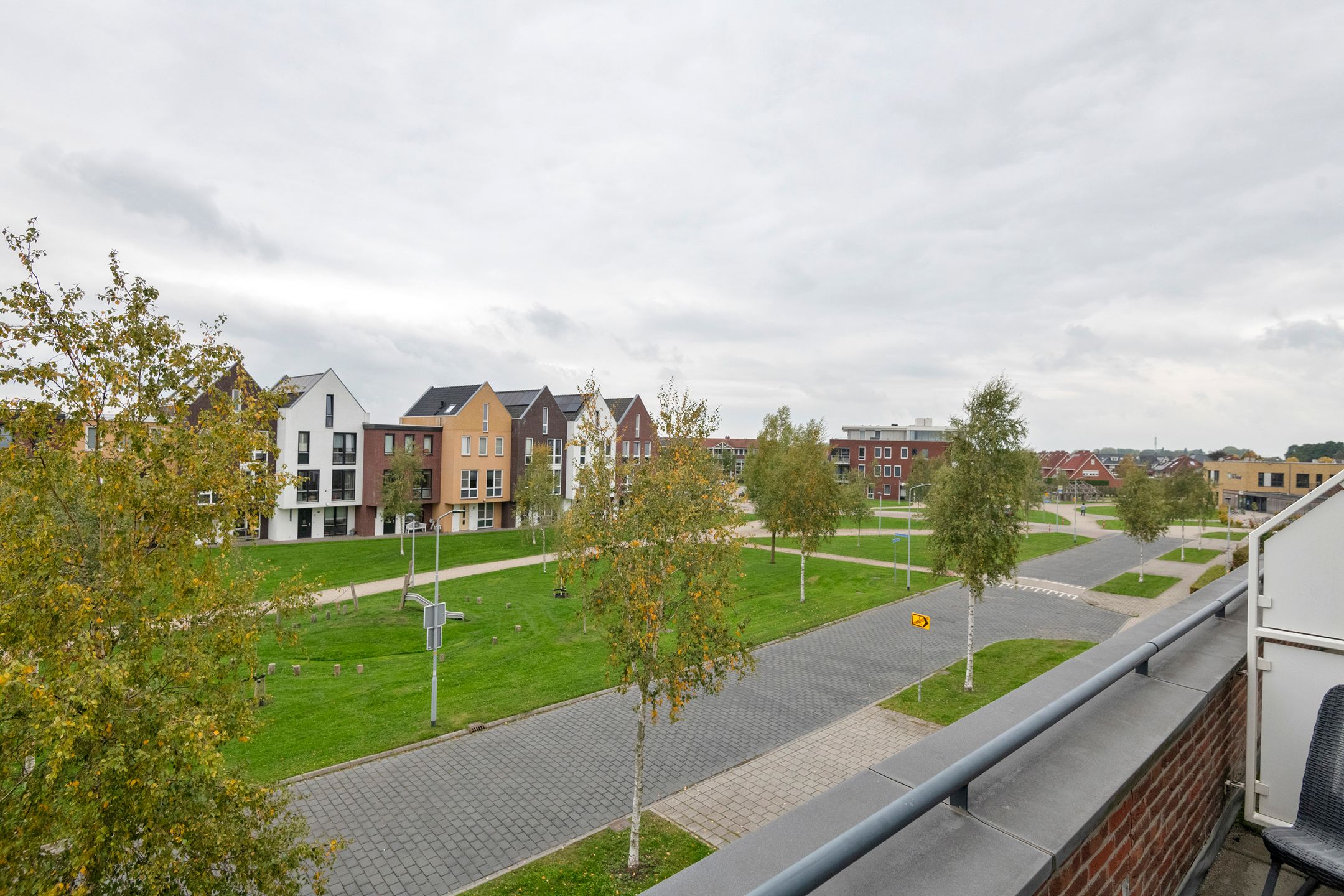 Foto 30 van Aardbeivlinder 46