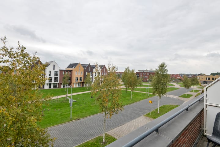 Foto 30 van Aardbeivlinder 46