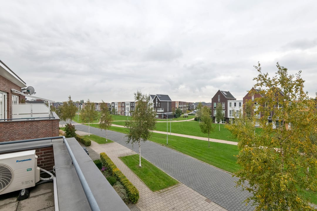 Foto 31 van Aardbeivlinder 46