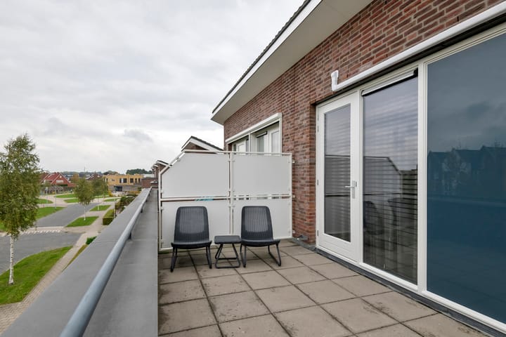 Foto 32 van Aardbeivlinder 46