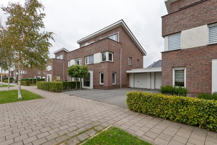 Foto 38 van Aardbeivlinder 46