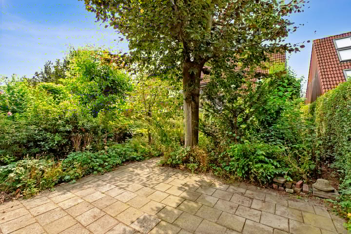 Photo 50 of Breezand 8