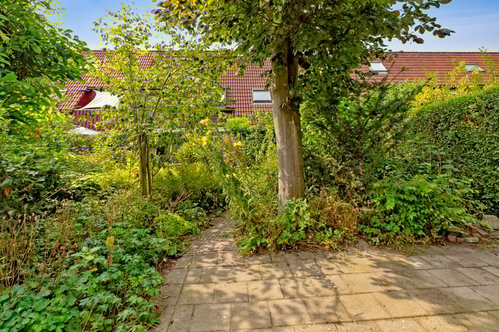 Photo 49 of Breezand 8