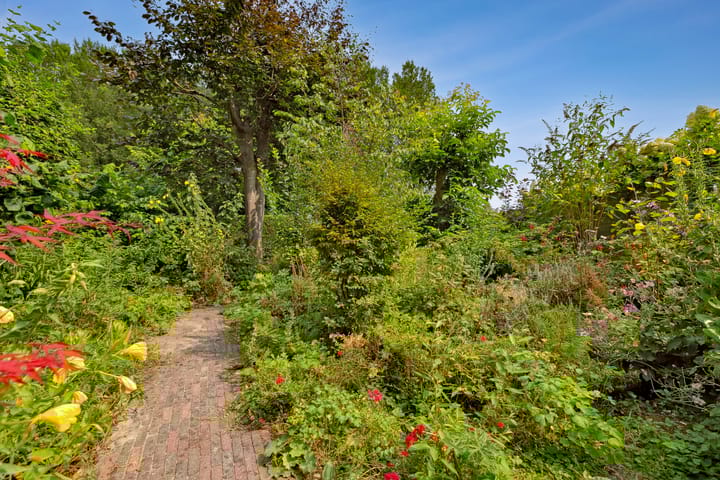 Photo 51 of Breezand 8