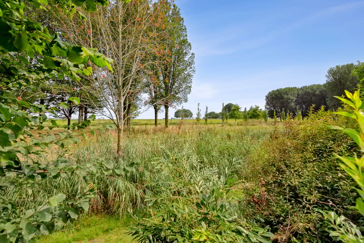 Photo 61 of Breezand 8