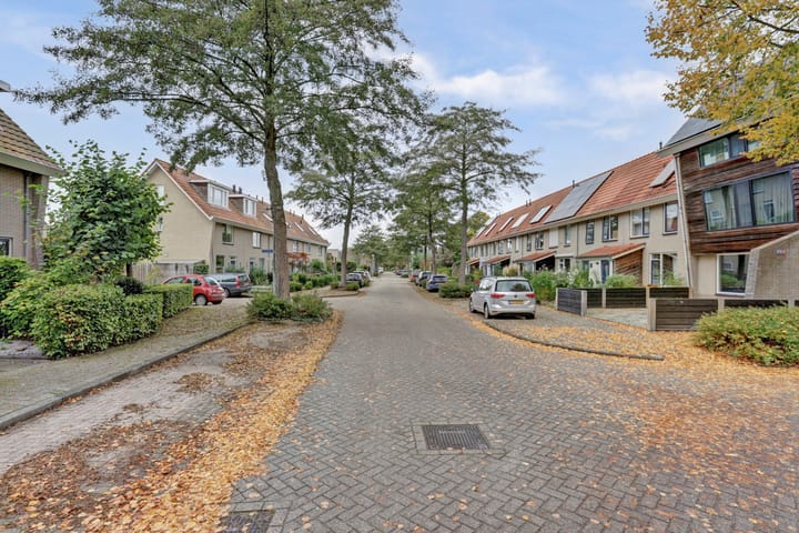 Foto 2 van Corridor 49