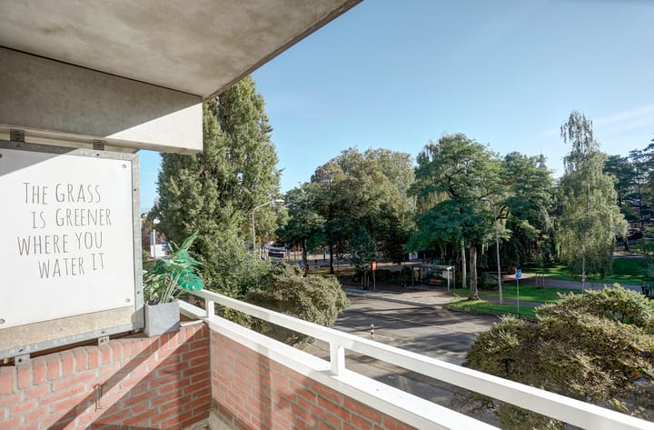 Foto 11 van Kronenburgersingel 297