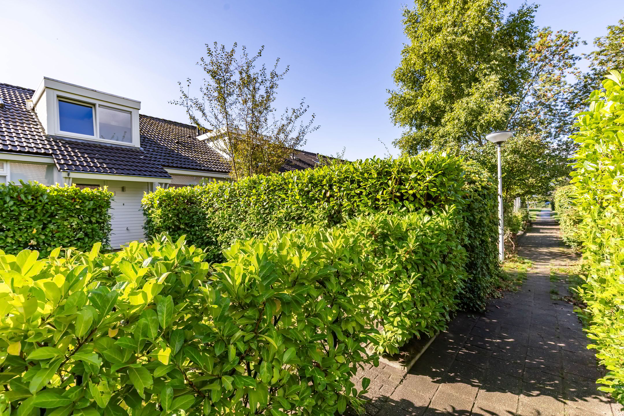 Photo 9 of Burgemeester van Panhuyslaan 15