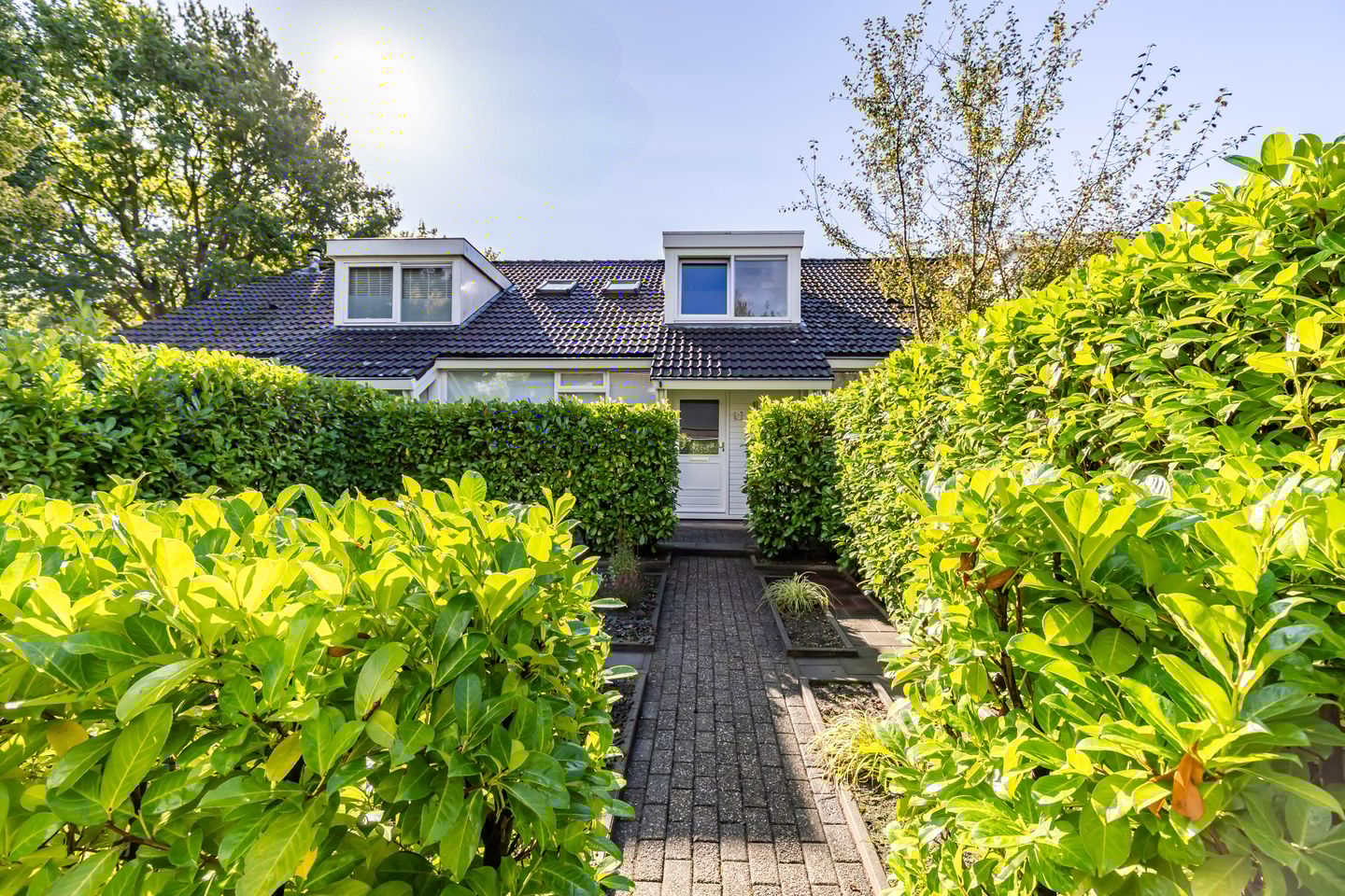 Photo 10 of Burgemeester van Panhuyslaan 15