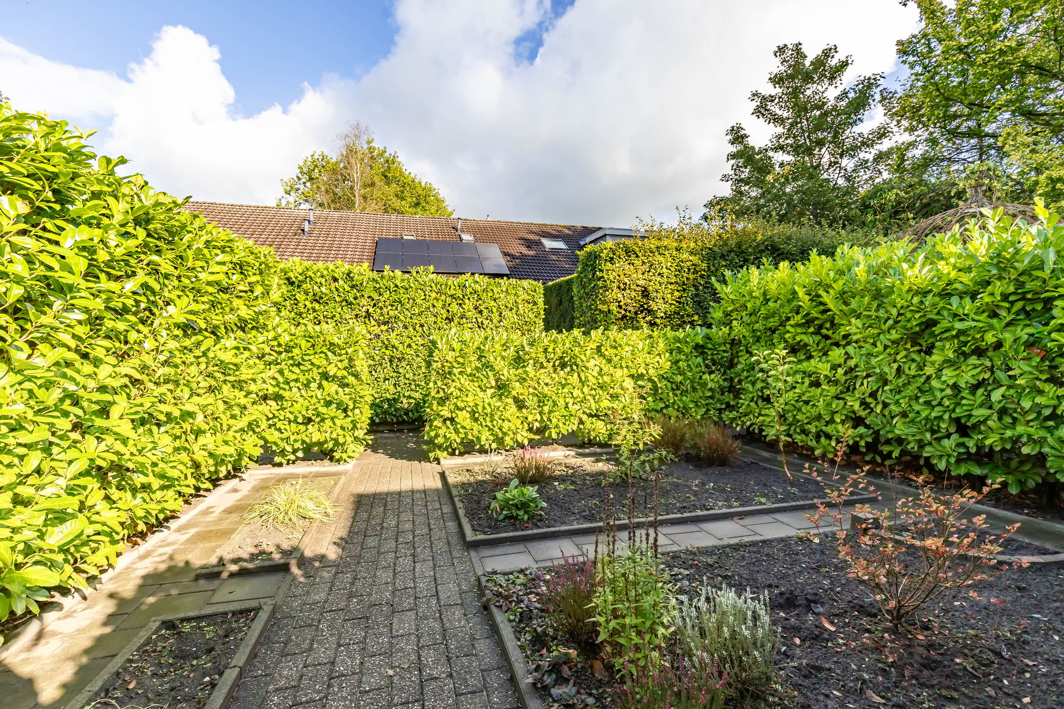 Photo 12 of Burgemeester van Panhuyslaan 15