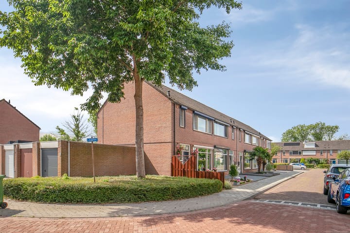 Foto 37 van Jupiter 56