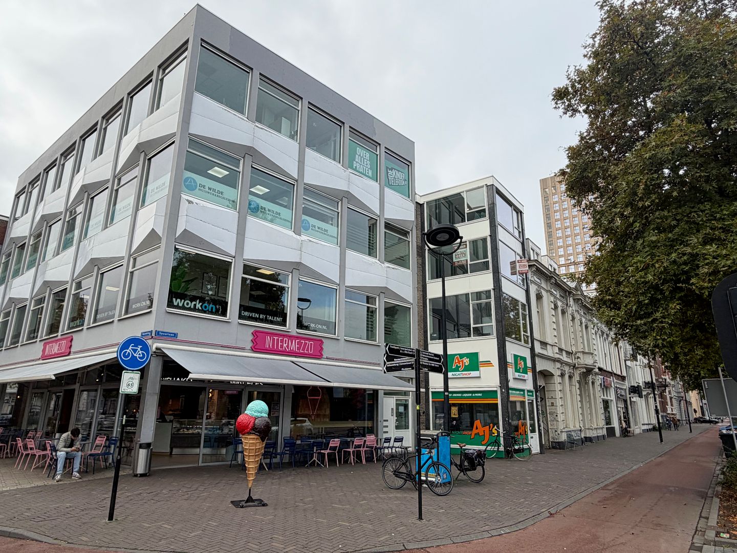 Bekijk foto 2 van Spoorlaan 312-b