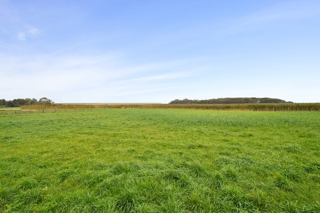 Foto 43 van Kikkertstraat 4-D