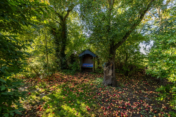 Foto 48 van Wijmersweg 6