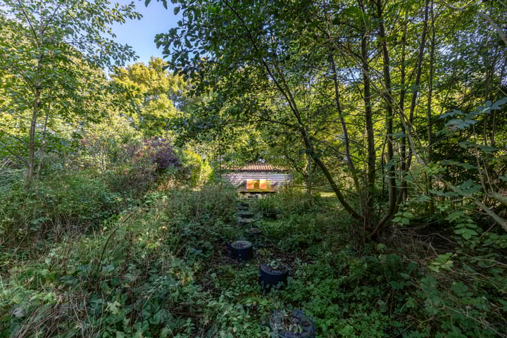 Foto 50 van Wijmersweg 6