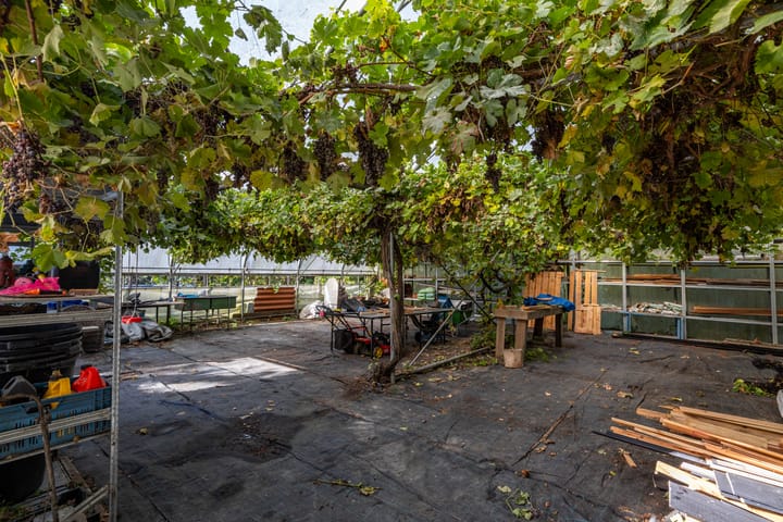 Foto 72 van Wijmersweg 6