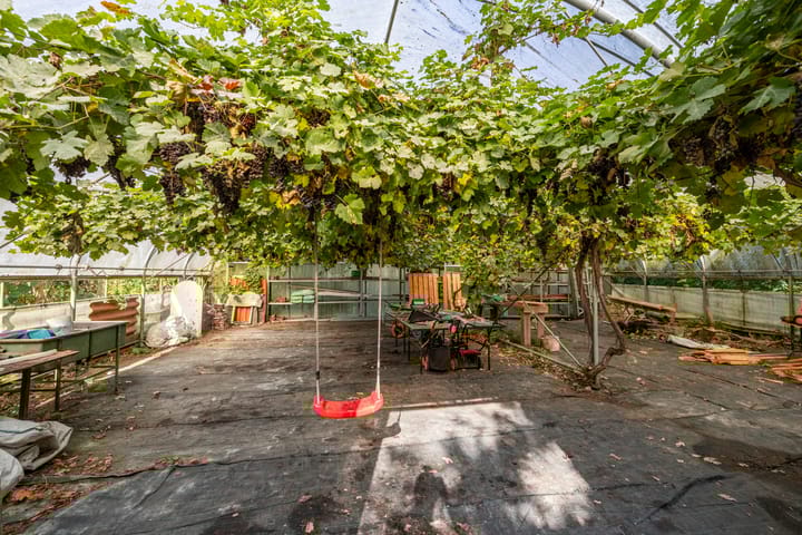 Foto 73 van Wijmersweg 6