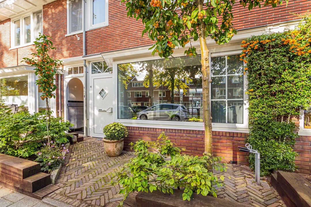 Photo 7 of Julianaweg 113