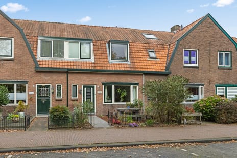 undefined main image