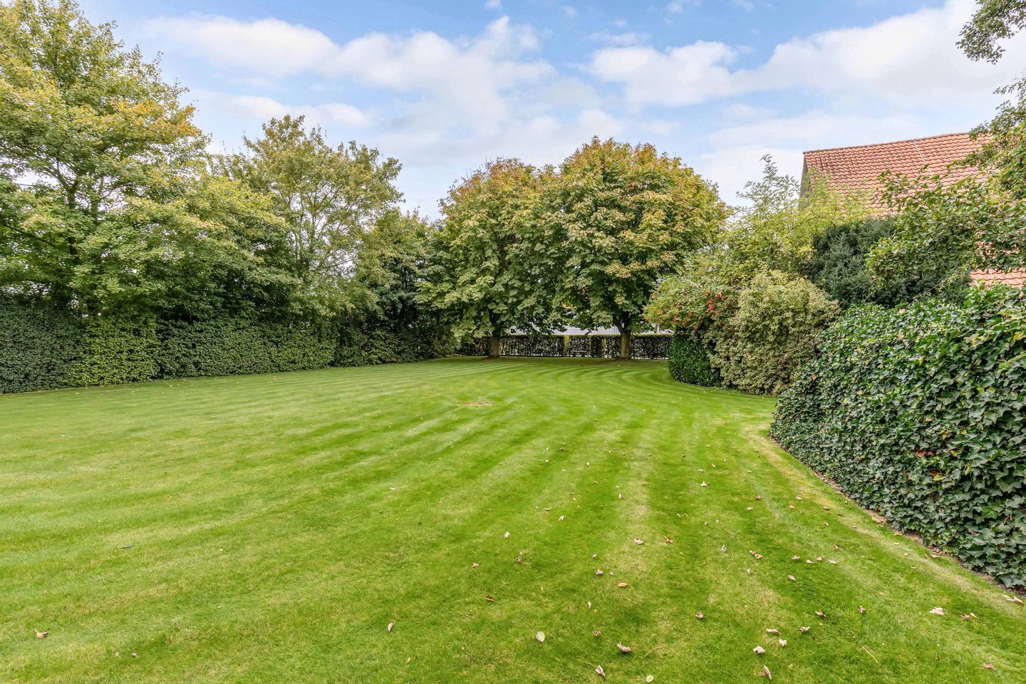 Foto 50 van Pilotenweg 22