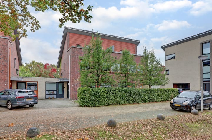 Foto 1 van Eikebladvlinder 11