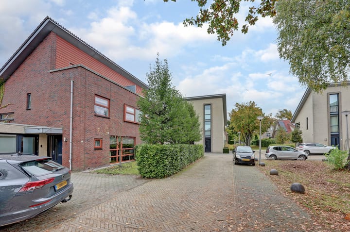 Foto 4 van Eikebladvlinder 11