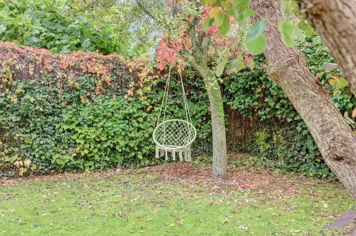 Foto 23 van Eikebladvlinder 11