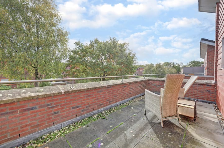 Foto 24 van Eikebladvlinder 11