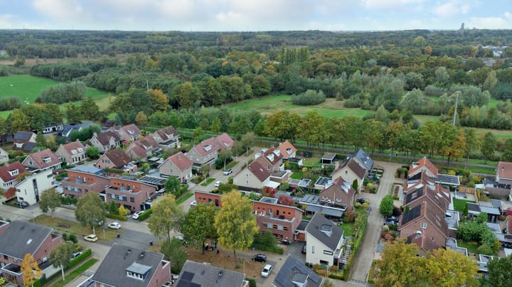 Foto 26 van Eikebladvlinder 11