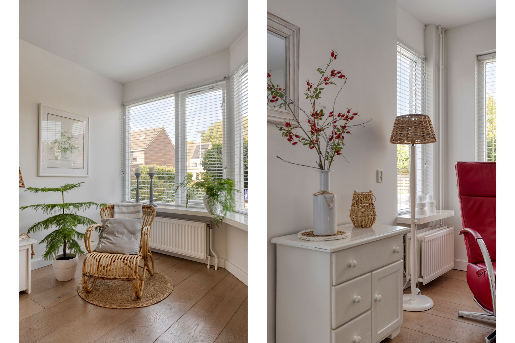 Foto 9 van Alpenkraai 57