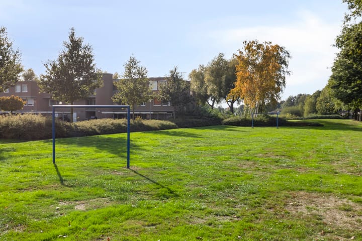 Foto 35 van Alpenkraai 57