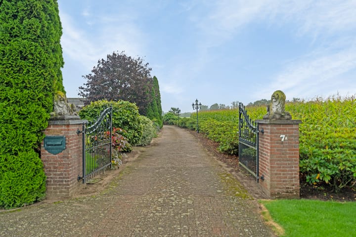 Foto 34 van de Jongstraat 7