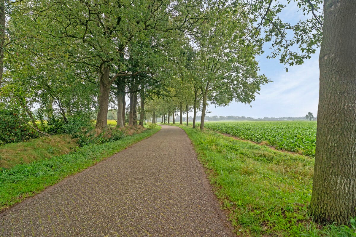 Foto 36 van de Jongstraat 7