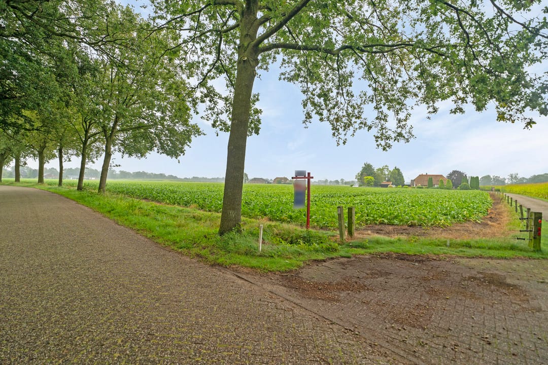 Foto 37 van de Jongstraat 7