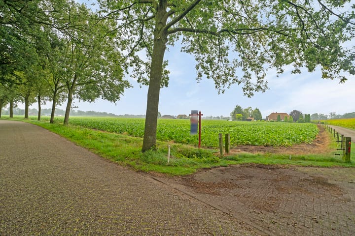 Foto 37 van de Jongstraat 7