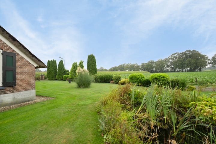 Foto 50 van de Jongstraat 7