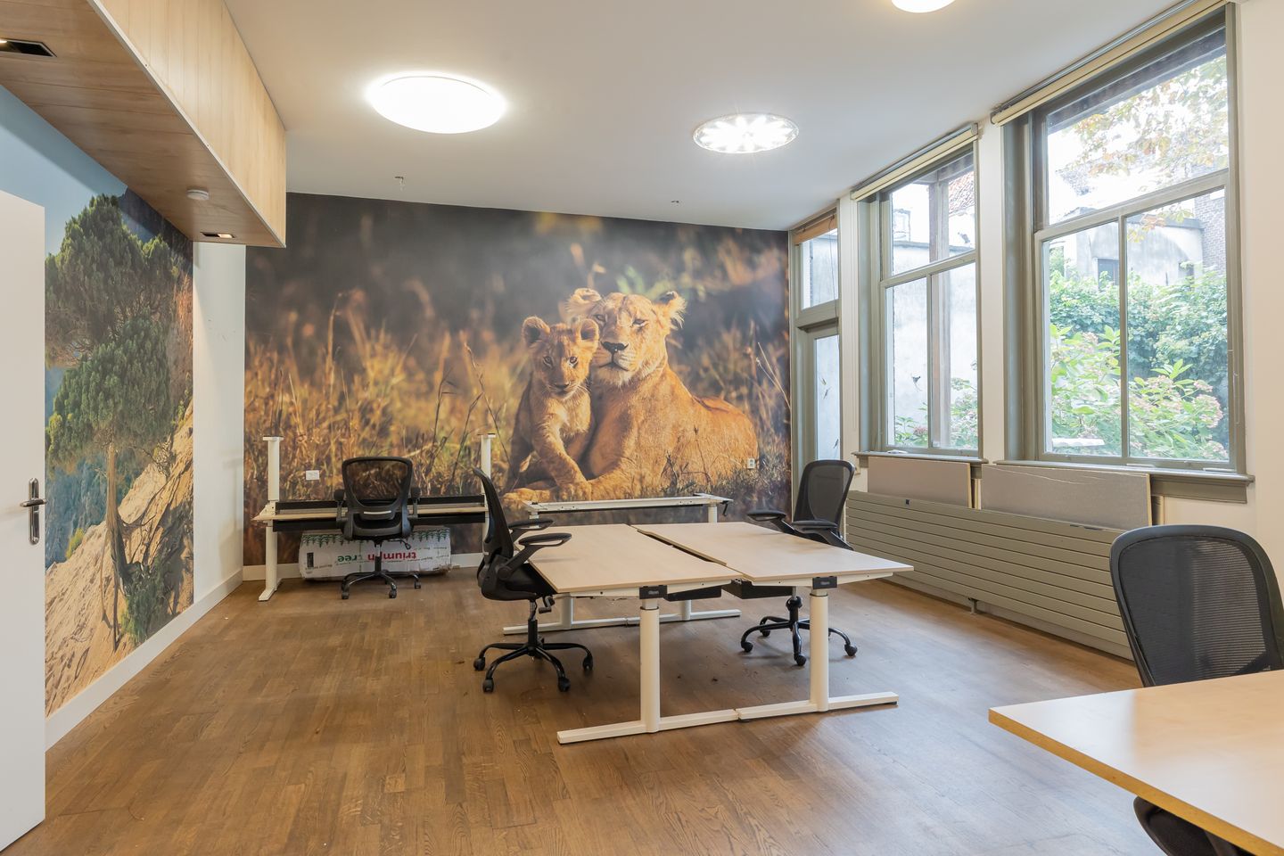 Bekijk foto 3 van Pieterskerkhof 18