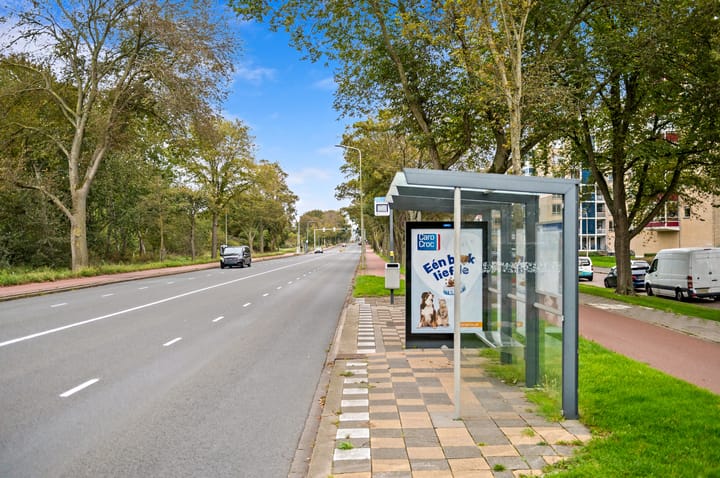 Photo 34 of Van Alkemadelaan 1026