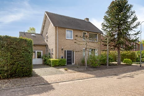 Elzenstraat thumbnail