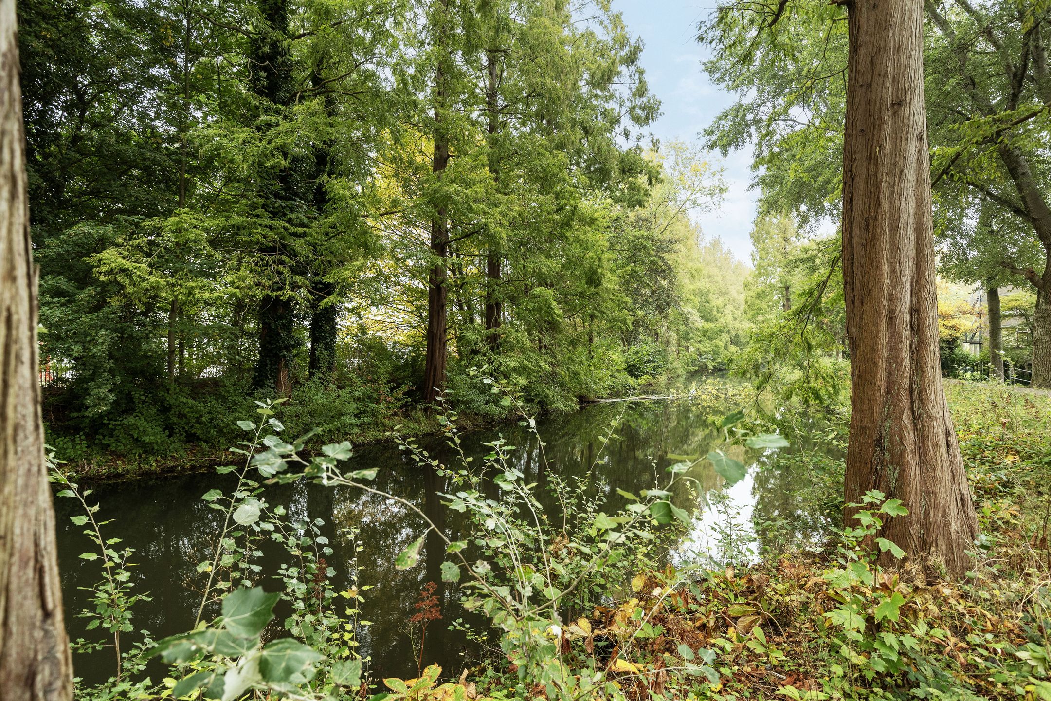 Foto 27 van Zandkreek 70