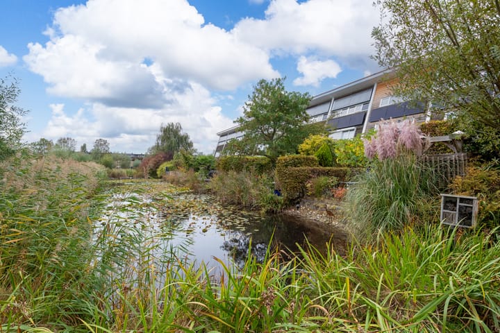 Foto 43 van Hollandsche Tuyn 33