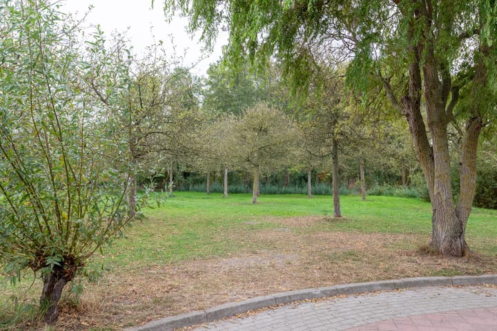 Foto 45 van Hollandsche Tuyn 33