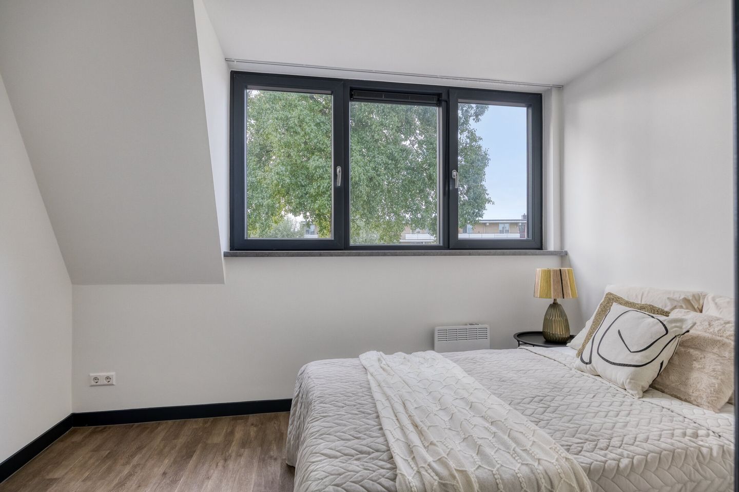 Photo 20 of Pieter de Hooghstraat 71-B