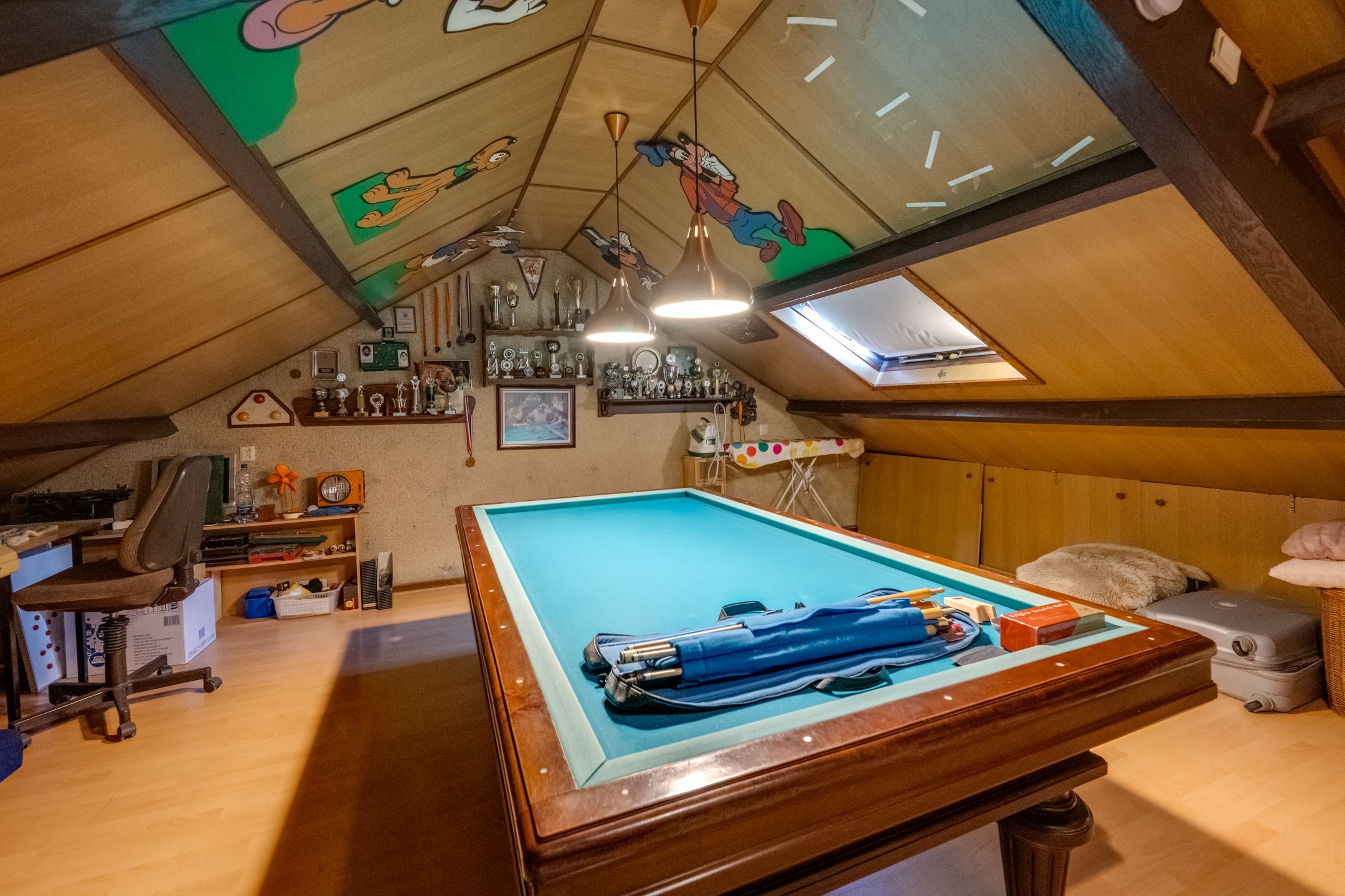 Foto 27 van Elisabethpark 20