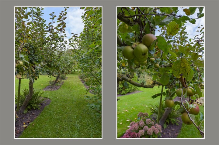 Photo 41 of Dorpsweg 71