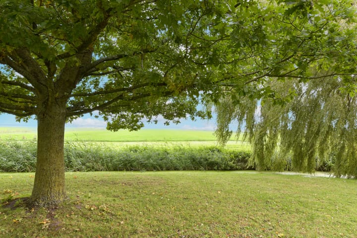 Photo 44 of Dorpsweg 71