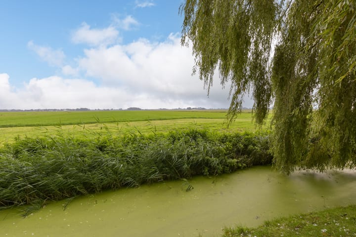 Photo 45 of Dorpsweg 71