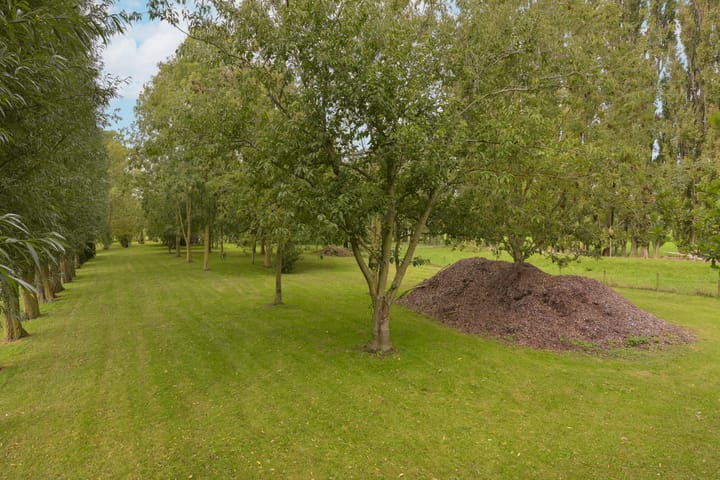 Photo 47 of Dorpsweg 71