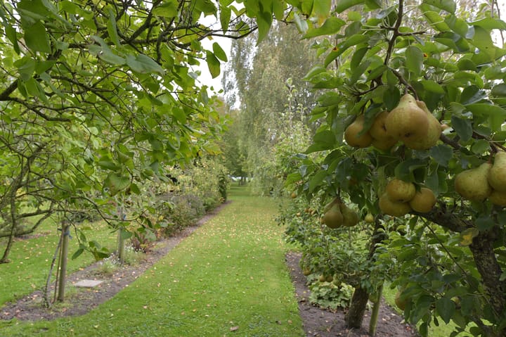 Photo 51 of Dorpsweg 71