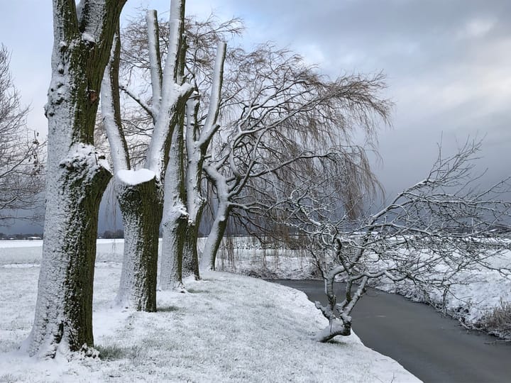 Photo 61 of Dorpsweg 71